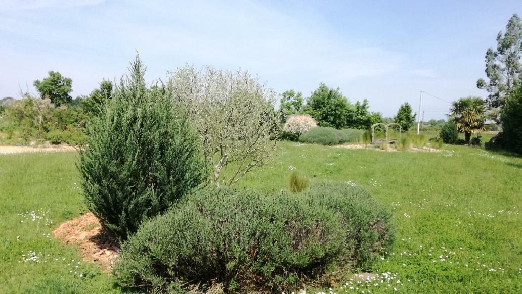 Le Grand Paradis Morannes sur Sarthe-Daumeray Εξωτερικό φωτογραφία
